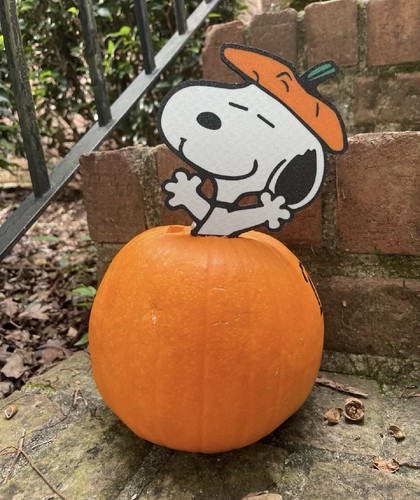Snoopy pumpkin topper - snoopy,