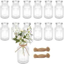 Small Glass Bud Vase 12PCS Set