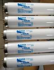 100w new cleo performance - 8,
