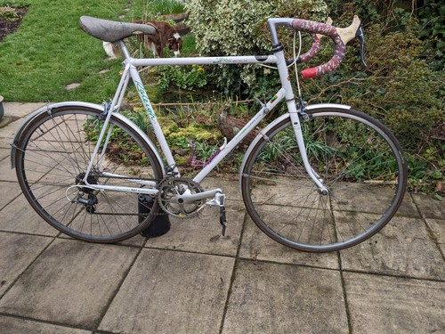 Raleigh elan 501 road - 501, racing