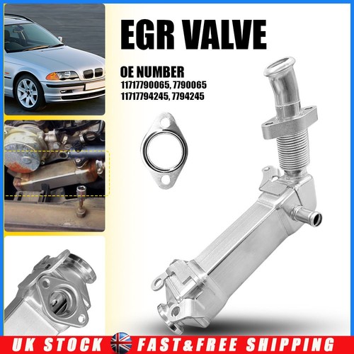 Egr exhaust valve cooler - exhaust, for