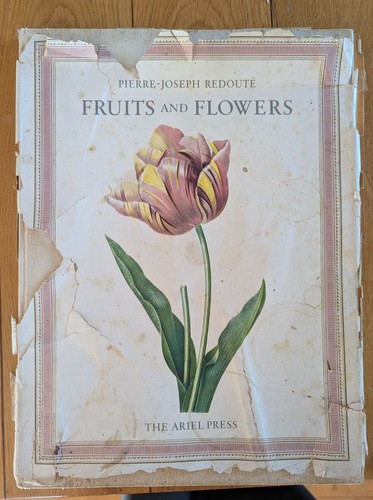 1955 fruits and - 1955,