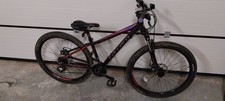 Ladies Mountain Bike, Carrera