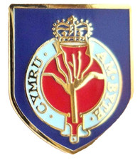 Welsh Guards Flag - Metal