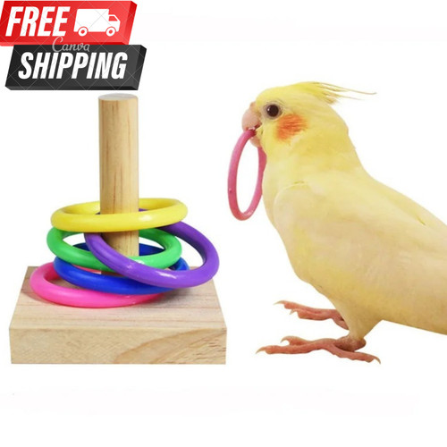 Wooden bird parrot - wooden,
