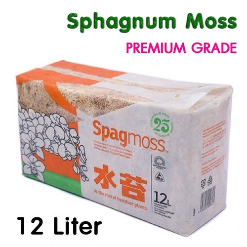 Spagmoss sphagnum moss - sphagnum,