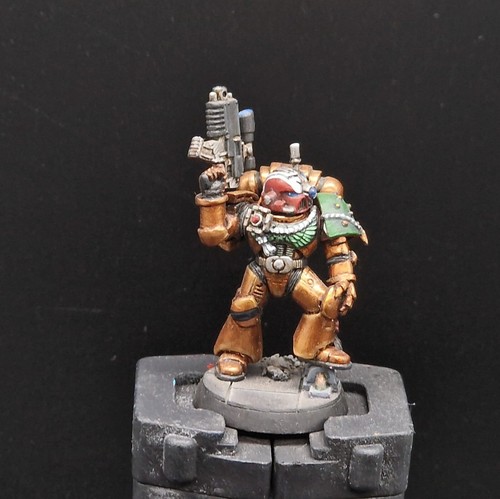 Pro painted warhammer - painted, 40k