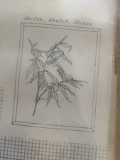 Eva Rosenstand tits titmice bird Cross Stitch Kit New 12-571