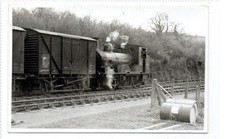 Postcard size photograph - postcard-size, of