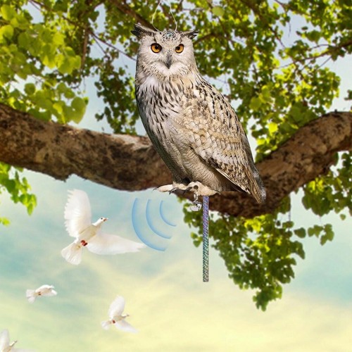 Realistic owl decoy - owl,