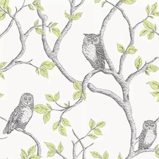 2 Rolls Fine Decor Woodland