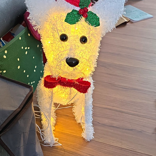 Lighted christmas dog figurine - lighted,