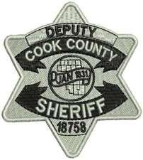 Deputy Cook County Sheriff