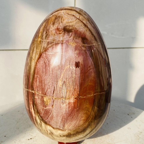 Natural petrified wood - petrified,