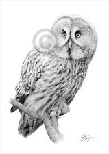 GREAT GREY OWL pencil drawing