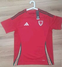Wales Home Football Shirt 2025 ( X L )