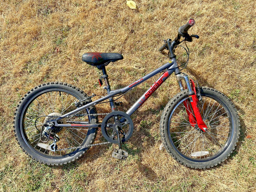 Boys apollo spider 20in - boys,