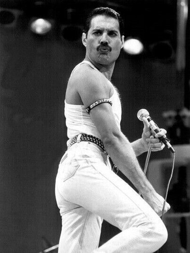 Freddie mercury unsigned - freddie,
