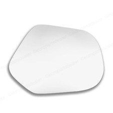 Driver Right Side convex wing