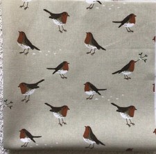 Sophie Allport Robin Bird on