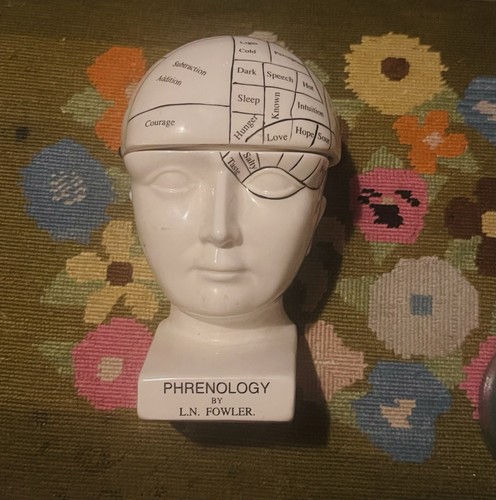 Phrenology head bust - phrenology,