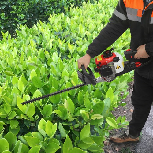 Double edged hedge trimmer - double-edged,