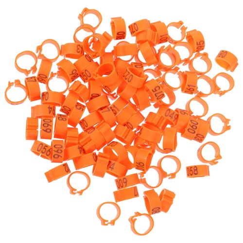 100 pcs bird ring - 100,
