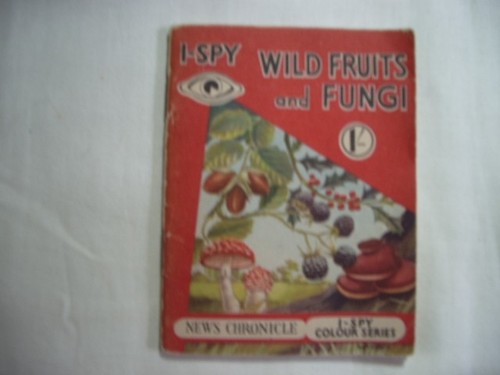 Spy wild fruits and fungi - wild,