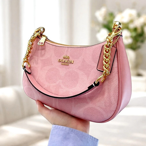 Nwt coach cal51 teri shoulder - teri,