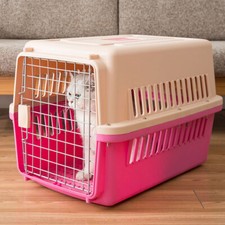 Cat Air Box Portable Cat Puppy