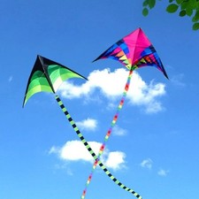 Large Rainbow Delta Kite for
