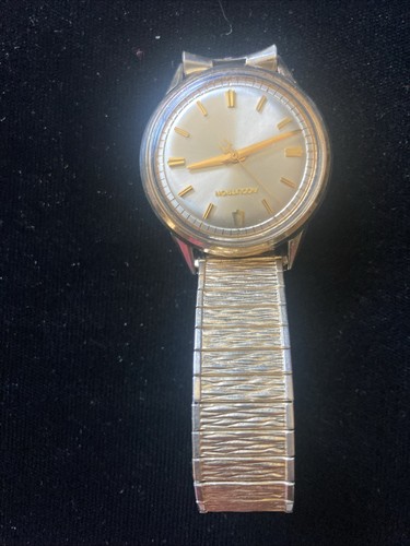 1966 bulova accutron men - 1966,