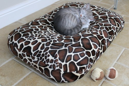 Bean bag cat - bag,