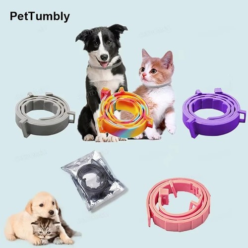 Month protection pet - month, flea