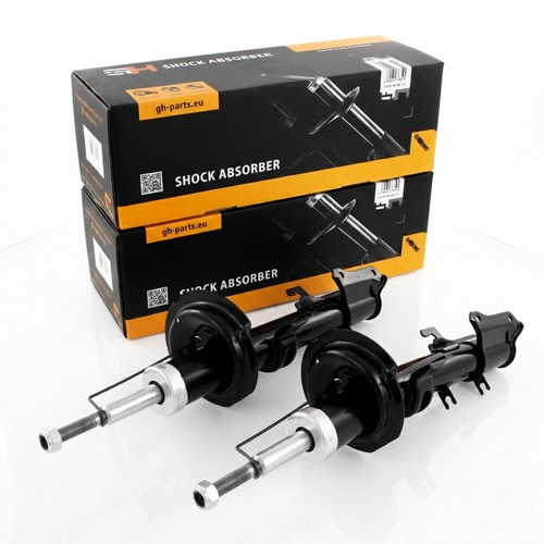 Gas shock absorbers - gas,