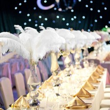 10-100PCS Large Ostrich