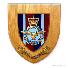 RAF Royal Air Force Badge