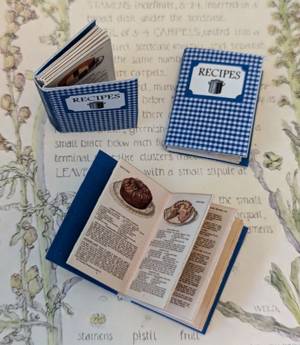 Miniature recipe book - miniature,