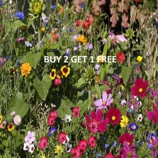 1Kg WILD FLOWER MEADOW SEEDS