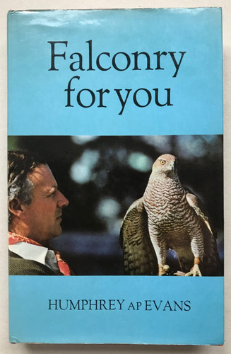 Falconry for you by - falconry,
