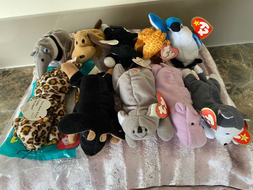 Teenie beanie babies 10 - ty,