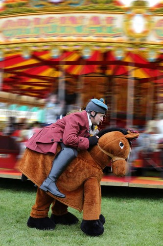 Step adult horse fancy - horse,