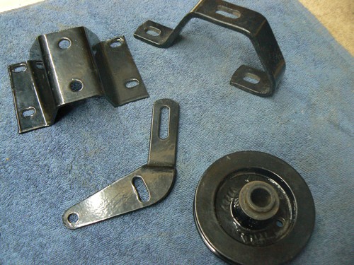 Triumph stag powder - powder, coated