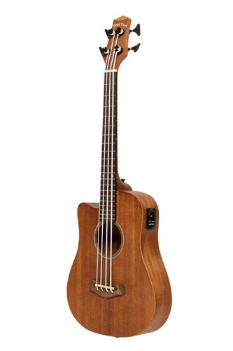 Gold tone electro acoustic - gold, electro-acoustic