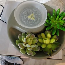 Scentsy “LITTLE GARDEN”