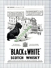 Black and White Whisky Dogs