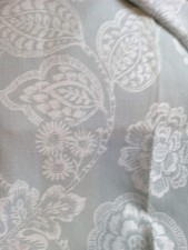 Beautiful Remnant Duck Egg