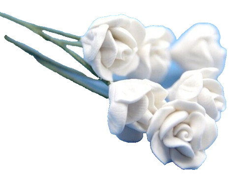 Dolls house flowers white - house,