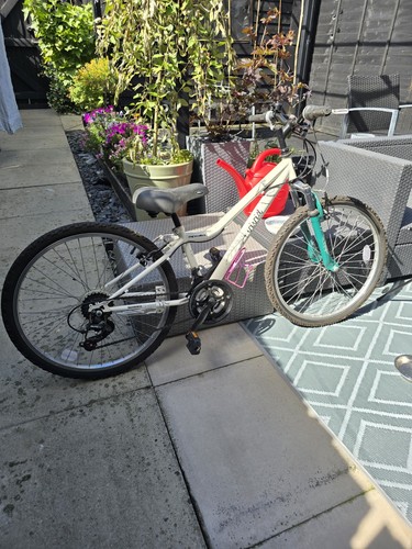 Girls mountain bike - mountain, 24-inch
