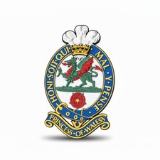Princess Of Wales's Royal